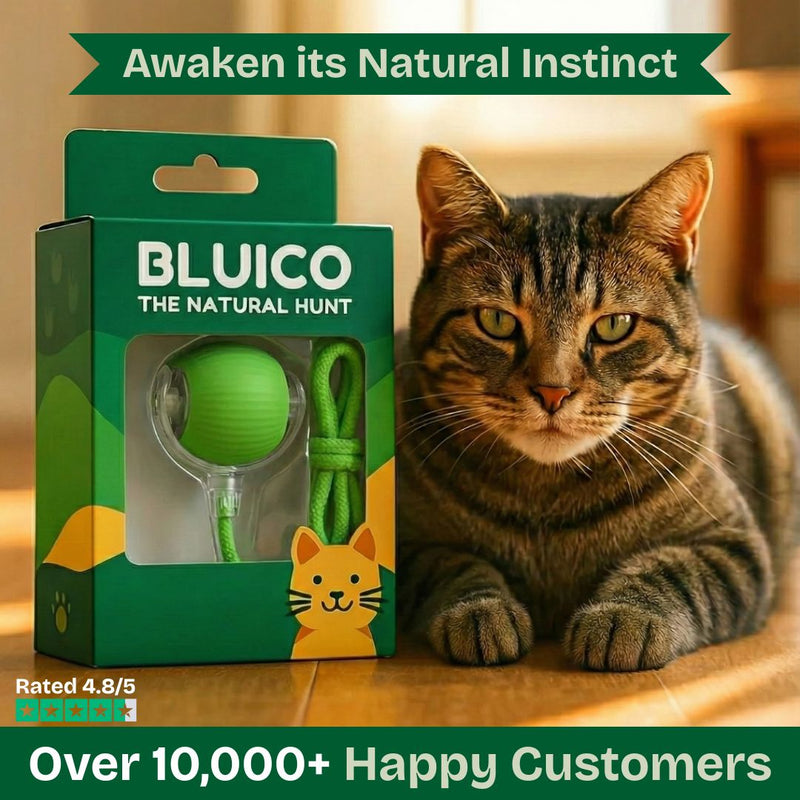 PursuitPro™ – Interactive Toy for Cats